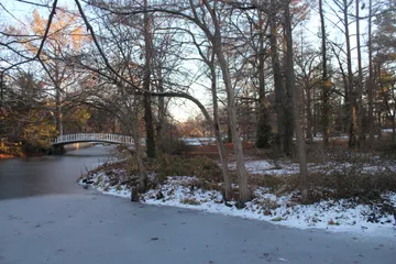 Bartlett Arboretum