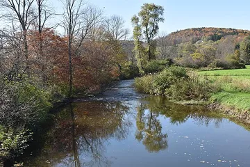 Banner Creek