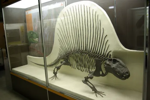 Milan Natural History Museum