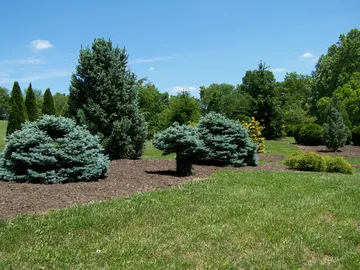 Boone County Arboretum