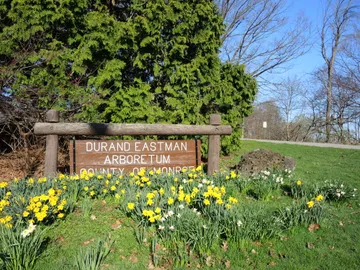 Durand Eastman Park