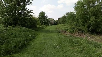 Little Shepherd Trail