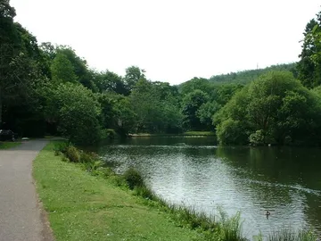 Deerpark Forest Park