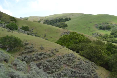 Ed R. Levin County Park