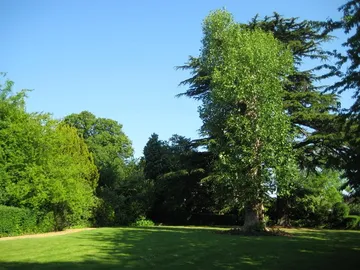 Langley Park Gardens