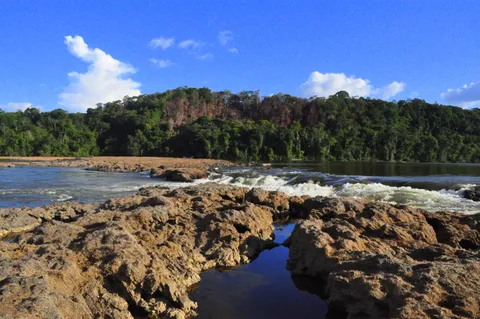 Guiana Amazonian Park