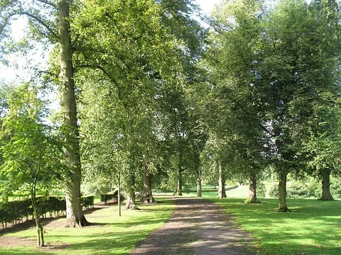 Callendar Park