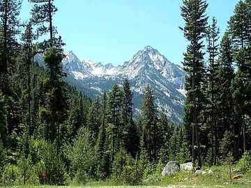 Bitterroot National Forest