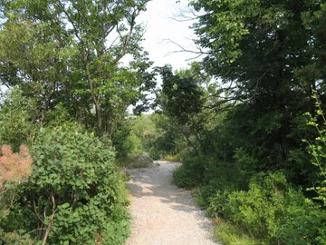 Rilke trail