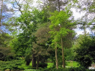 Bailey Arboretum