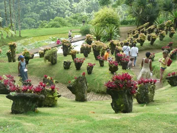 Balata Garden