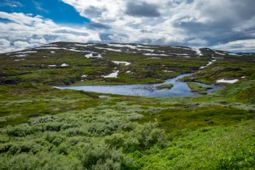 Hardangervidda National Park Center