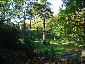 The Pine Hollow Arboretum