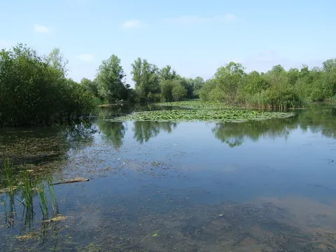 Paxton Pits Nature Reserve