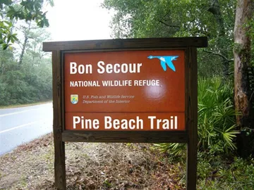 Pine Beach Trail