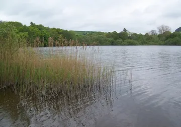 Loch Of Clunie