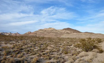 Amargosa Desert