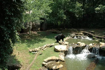 Montgomery Zoo & Mann Wildlife Learning Museum