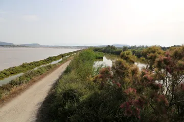 Parco Naturale Molentargius Saline