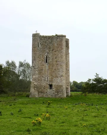 Donore Castle Ruins