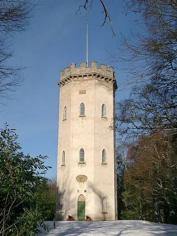 Nelsons Tower