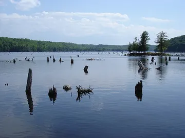 Prickett Lake. 