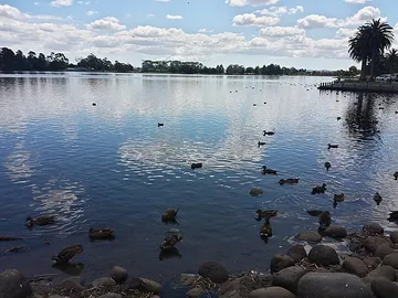 Hamilton Lake