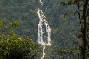 Meenmutty waterfalls-Wayanad