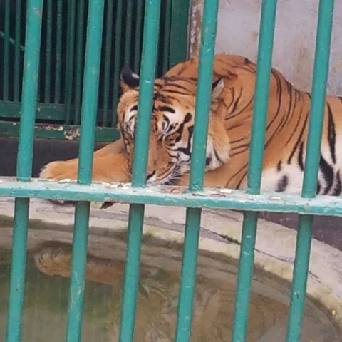 Thiruvananthapuram Zoo