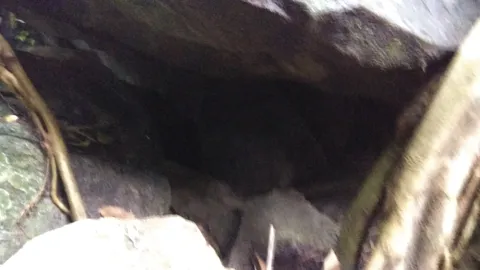 Pazhassi Cave