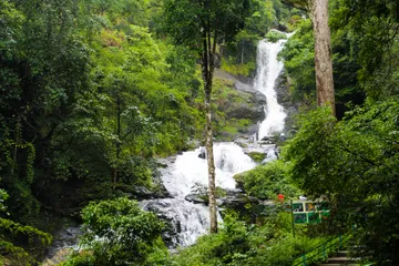 Iruppu Waterfalls, Brahmagiri