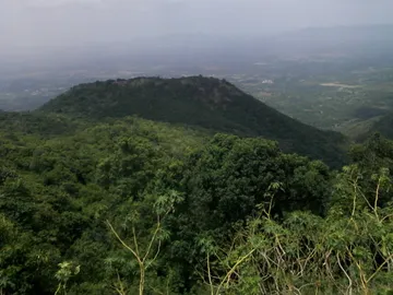 Sirumalai Reserved Forests