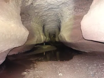 Siju caves