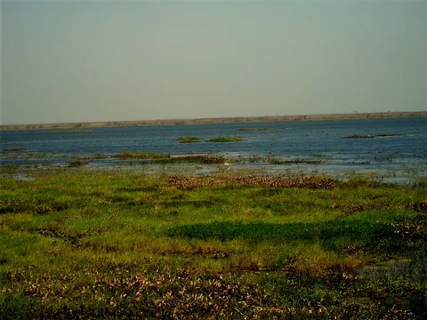Bakhira Bird Sanctuary 