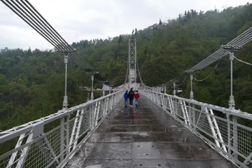 Singshore Bridge