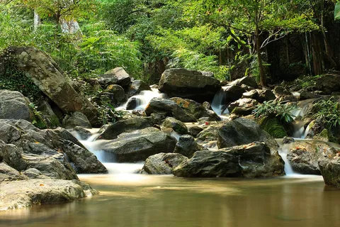 Lan Sang National Park