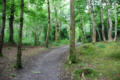 Gosford Forest Park