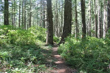 Panther Creek Trail