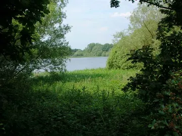 Pitsford water 