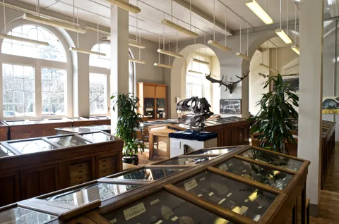 Lapworth Museum of Geology