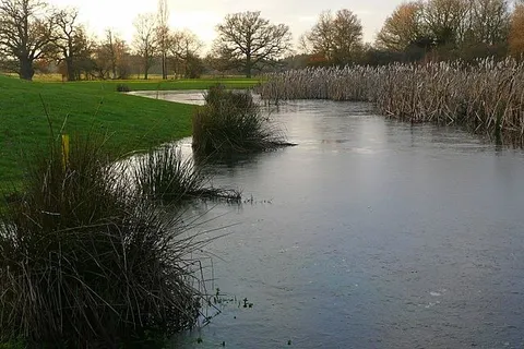 Dankworth Pond