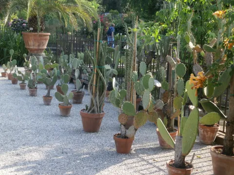 University of Padua Botanical Garden