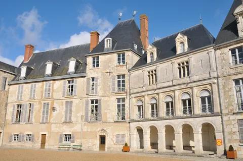Castle of Saint Brisson sur Loire