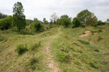 Barnack Hills and Holes National Nature Reserve