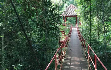 Thung Khai Botanic Garden