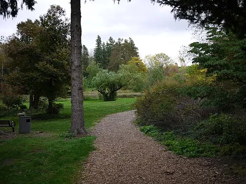 Slayton Arboretum