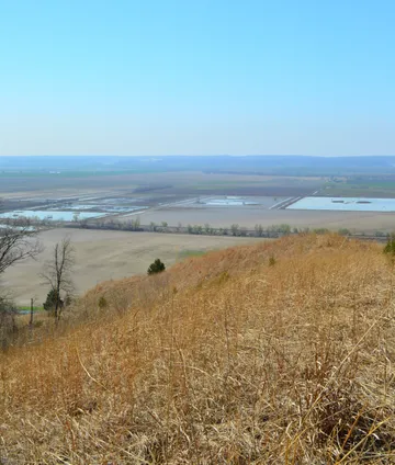 Fults Hill Prairie Nature Preserve