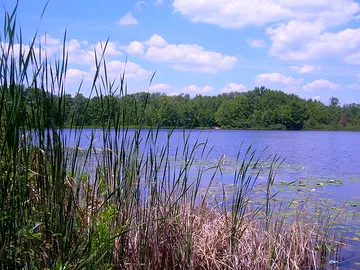 Benton Lake
