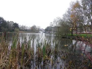 Peter's lake, Monaghan