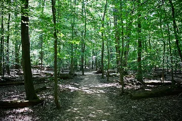Mason Creek Trail 